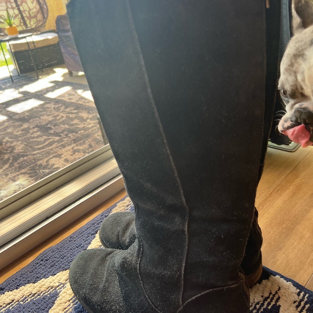 Ugg tall boot